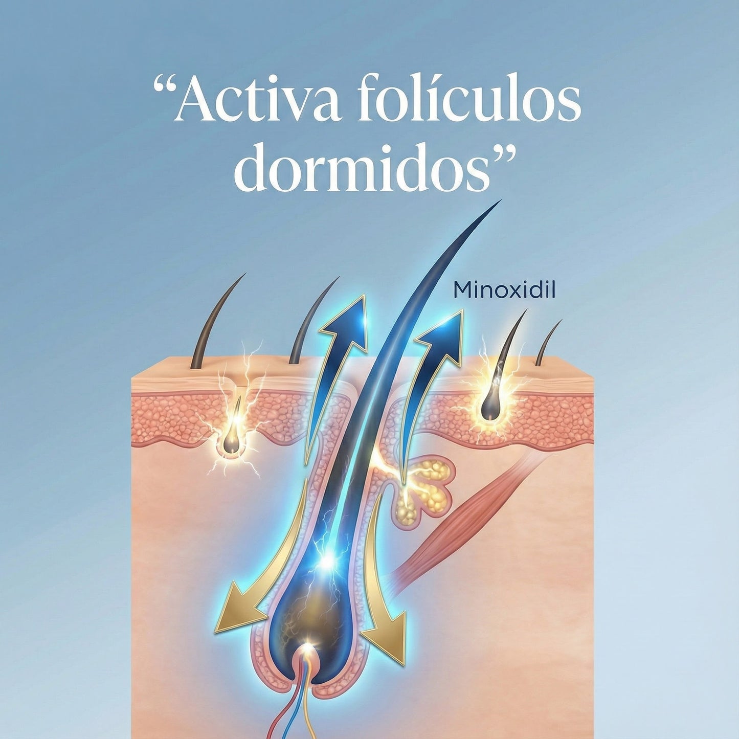 Minoxidil Pro 5% – Volumen, Fuerza y Regeneración Capilar